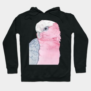 rosalbin galah cockatoo pink watercolor portrait Hoodie